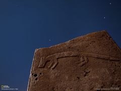 Tapeta National Geographic 293.jpg